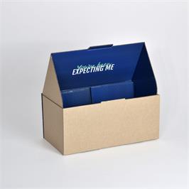 Parcel Box BX 3 Mailer White / Brown - 400 x 200 x 180 mm